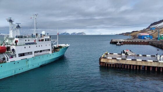     Фото: Минвостокразвития России
