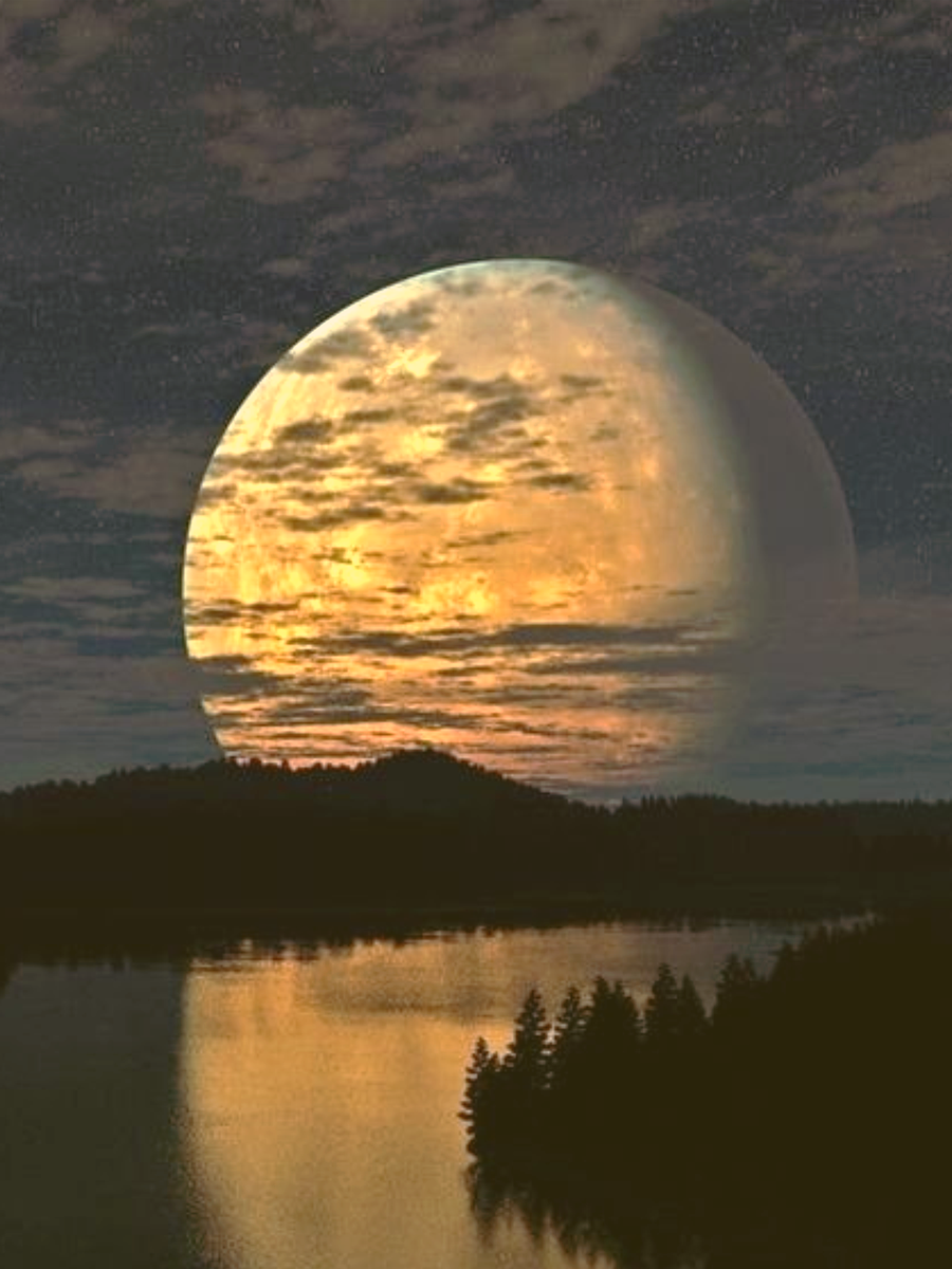 В астрологии говорят: что происходит в затмение, то разворачивается на полгода вперёд.