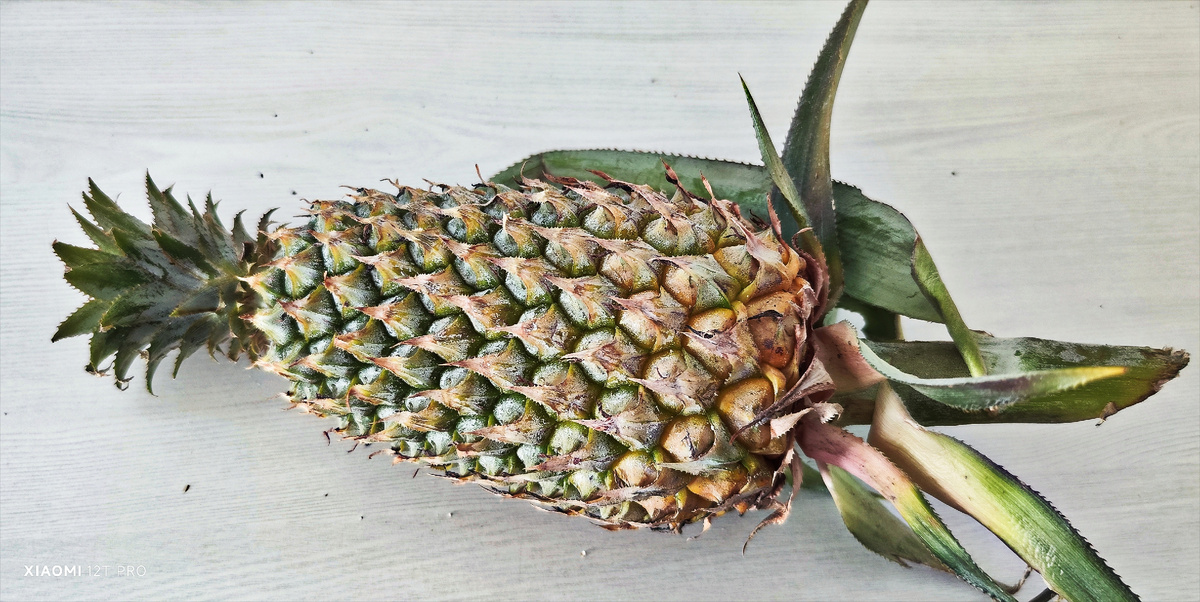 Ананас.