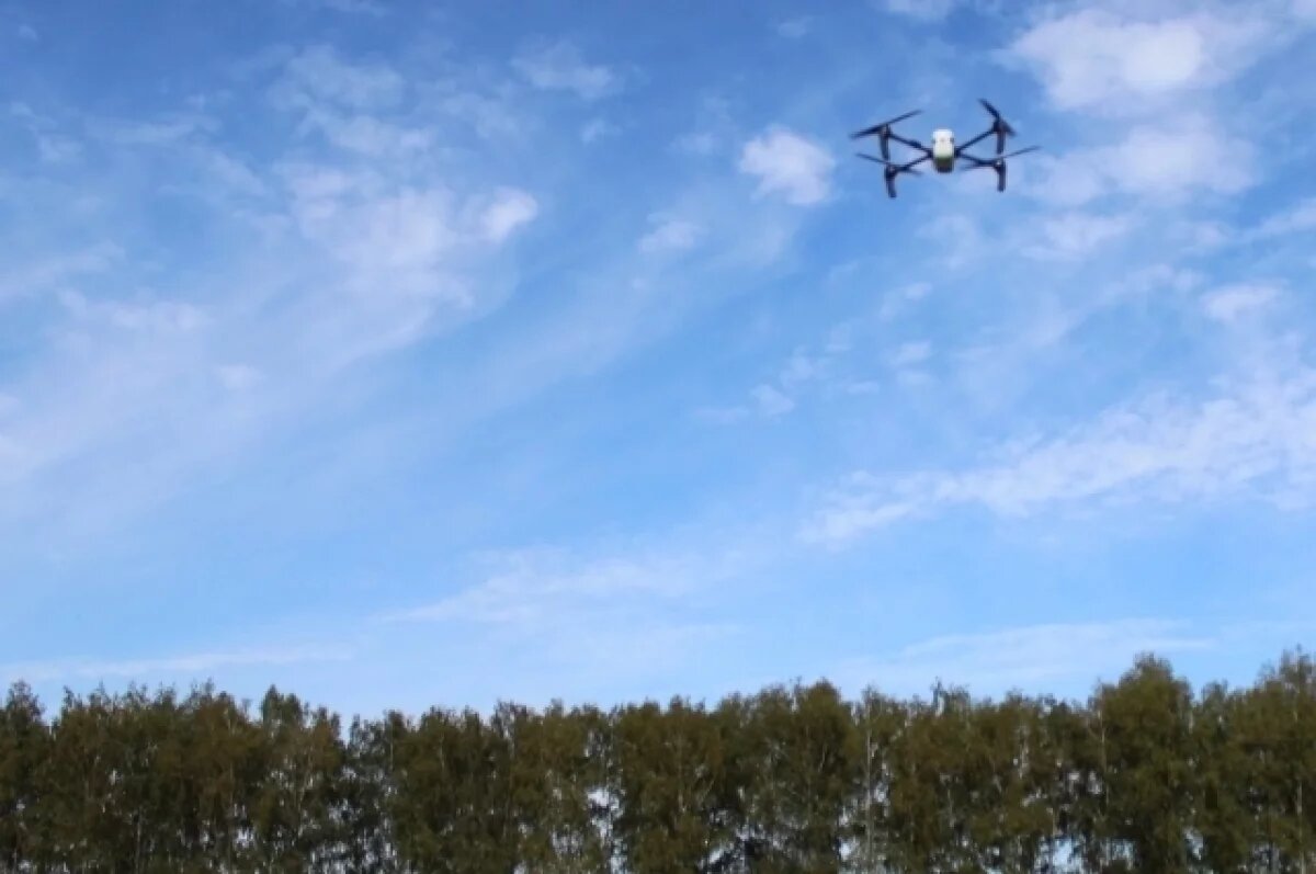    Росреестр применяет беспилотные летательные системы, чтобы контролировать использование земельных участков.