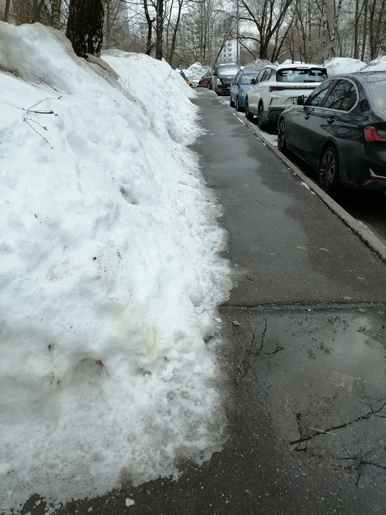 Моя дорожка "Туда-Обратно"