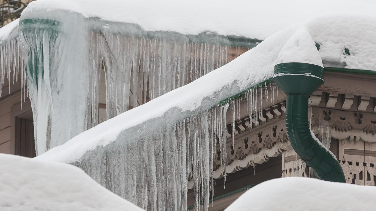    Фото: Shatokhina Natalia/news.ru