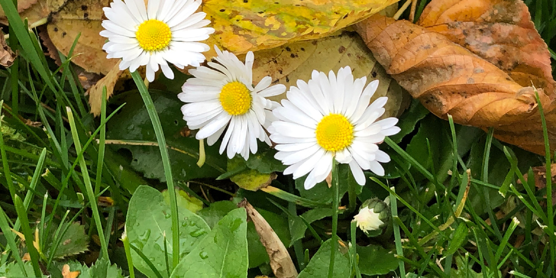 Если случилось дважды — будет и в третий?