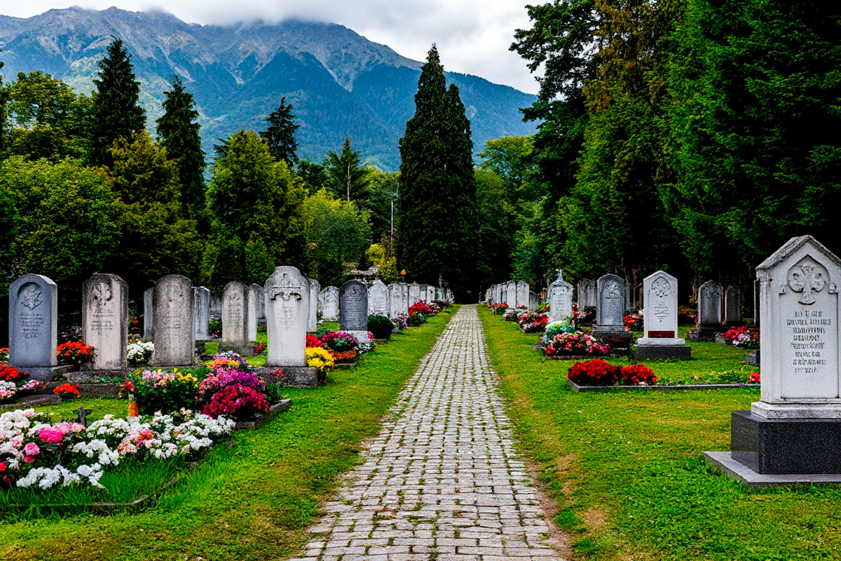    Фото: коллаж RuNews24.ru