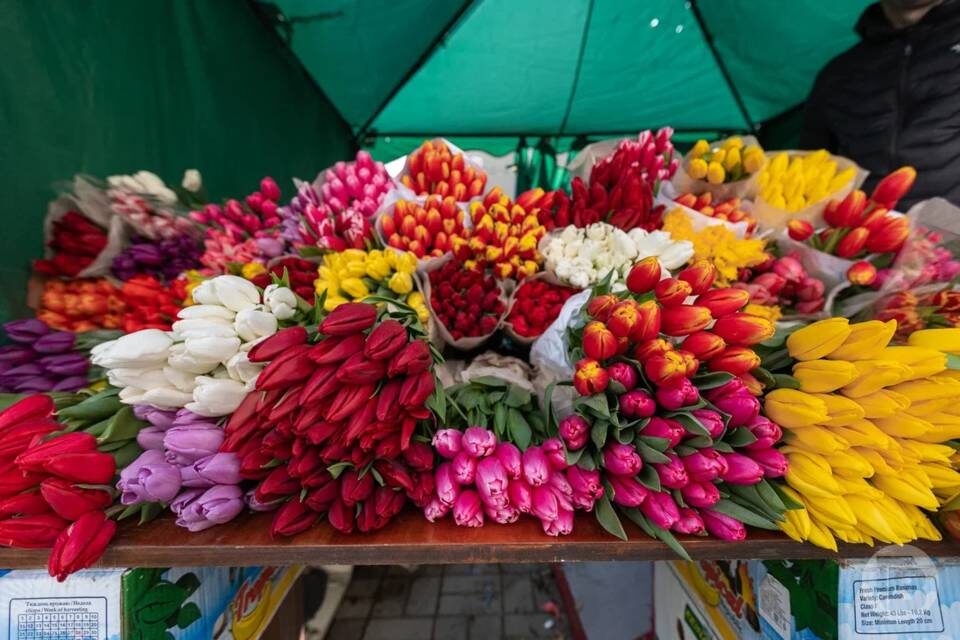    Фото: Дмитрий Рогулин/"Городские вести"
