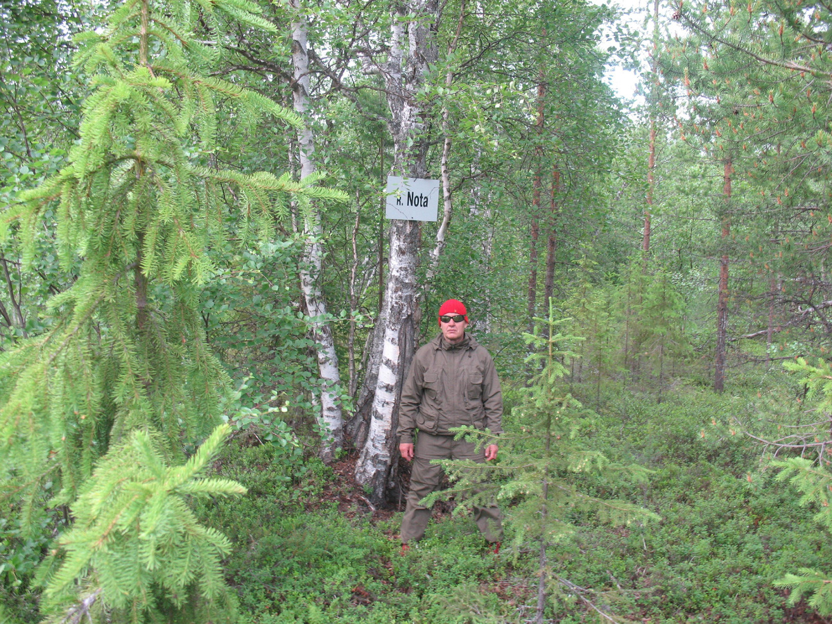 «Место силы» Русского Севера. Рядом – замечательная река Нота. Надписи там бывают и по-английски (фото). Пограничная зона с Финляндией, как-никак. Вдруг какой-нибудь замерзающий финский пограничник переберёт из фляжки горячительного, заплутает, но потом увидит надпись, определится и сразу же сдастся. – Шутка, разумеется.