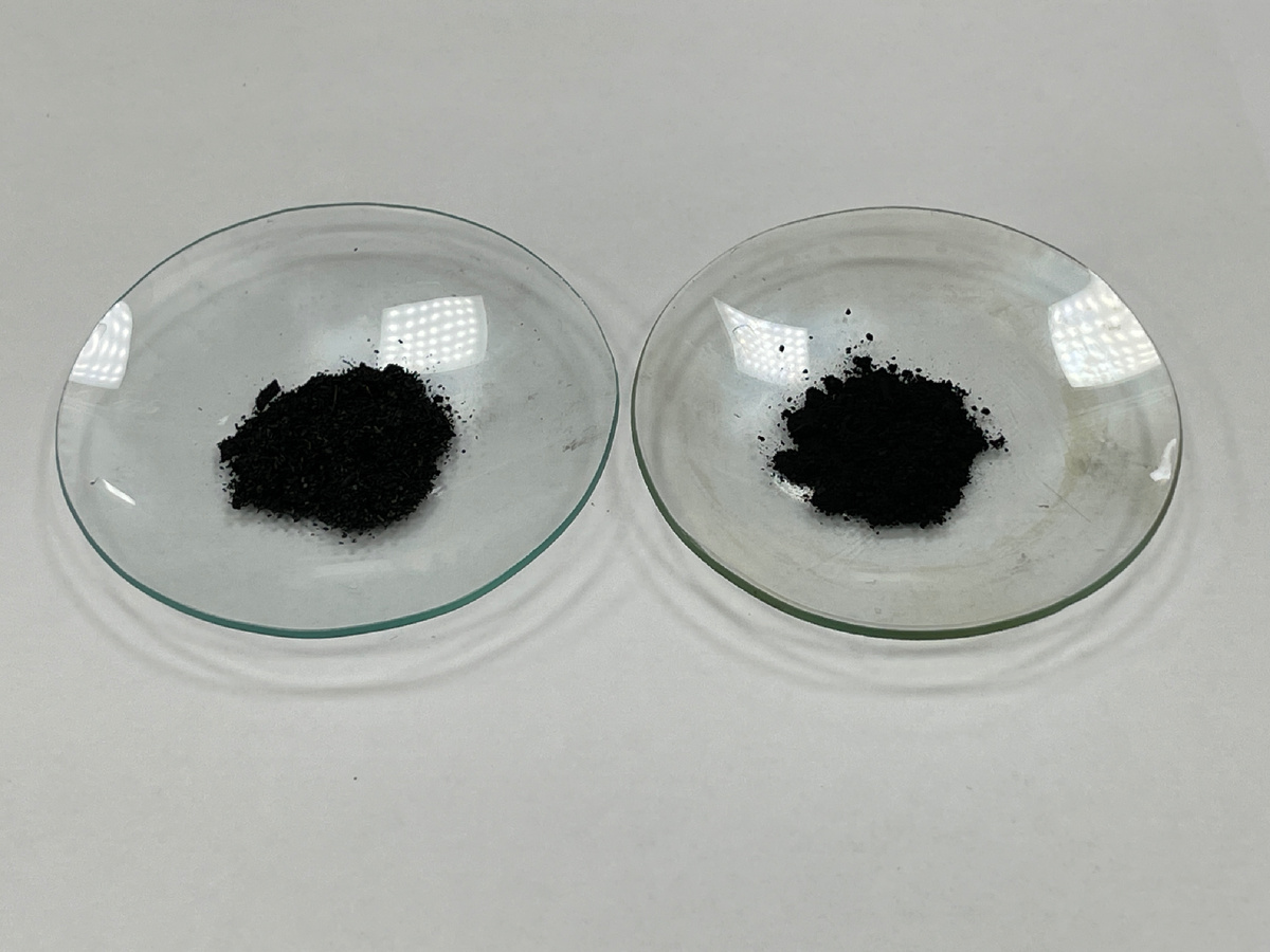 Образцы чистого биоугля и модифицированного наночастицами MIL(Fe)-100. Источник: Татьяна Бауэр