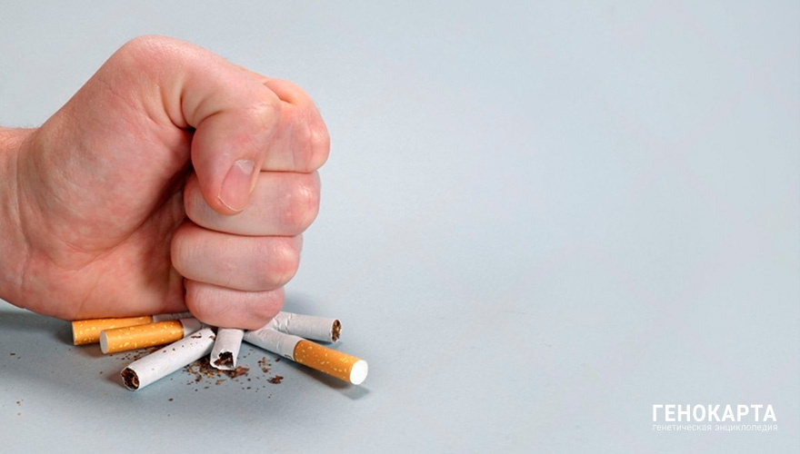 Seamm // shutterstock.com