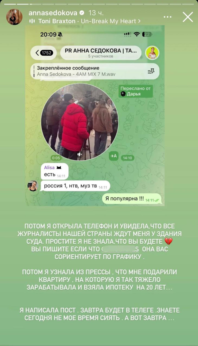     Скриншот: Instagram (Запрещён в РФ) @annasedokova