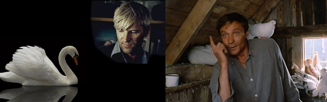 «Любовь и голуби»: а кому больше подходил Василий – жене или Раисе Захаровне