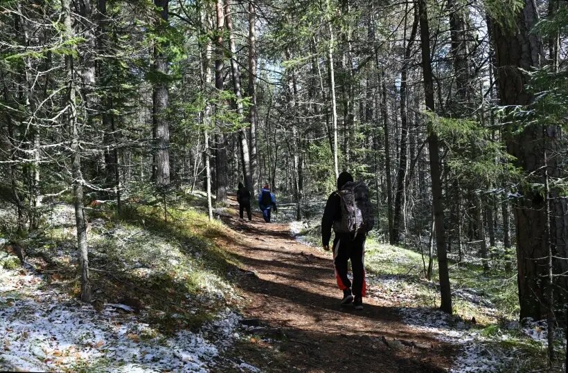     © РИА Новости. Илья Наймушин