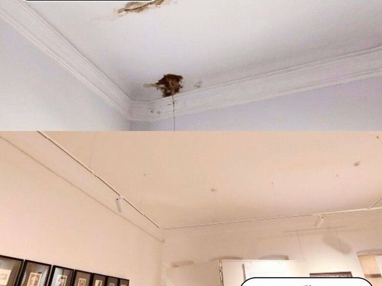     Фото: Евгений Чудаков/ТГ