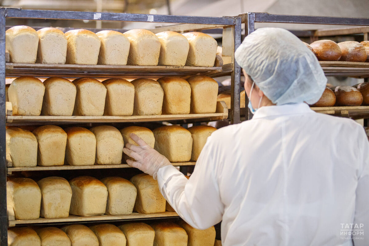 Фото: © Владимир Васильев / «Татар-информ»