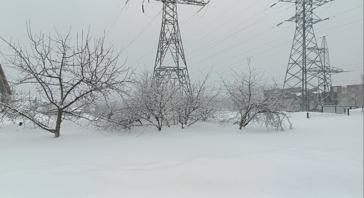 Фото нашего читателя "Ибрагимыч". Первый день весны, в одном из мест России. Зима, однако!