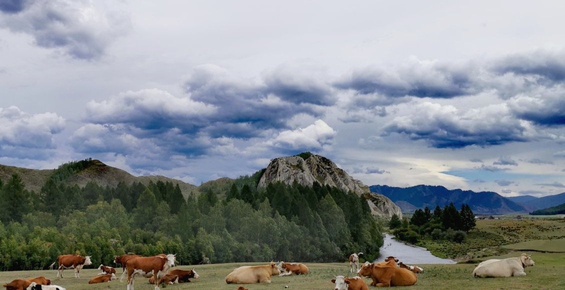    Фото: НИА "Экология"