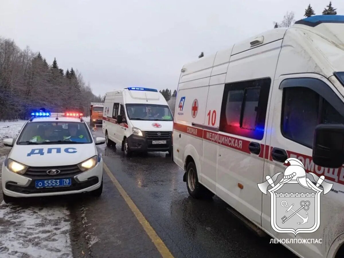    Фото: ГКУ «Леноблпожспас»