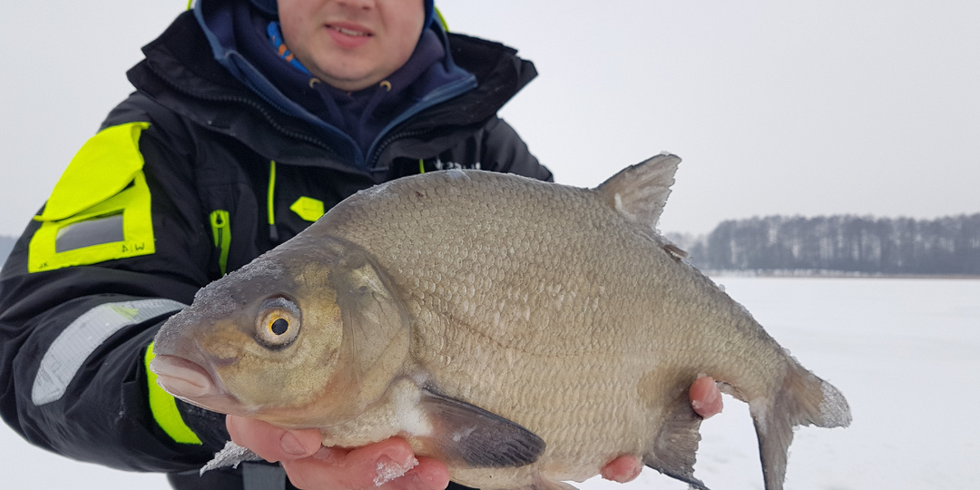 От карты глубин до трофея: пошаговое руководство по зимней лещовой рыбалке