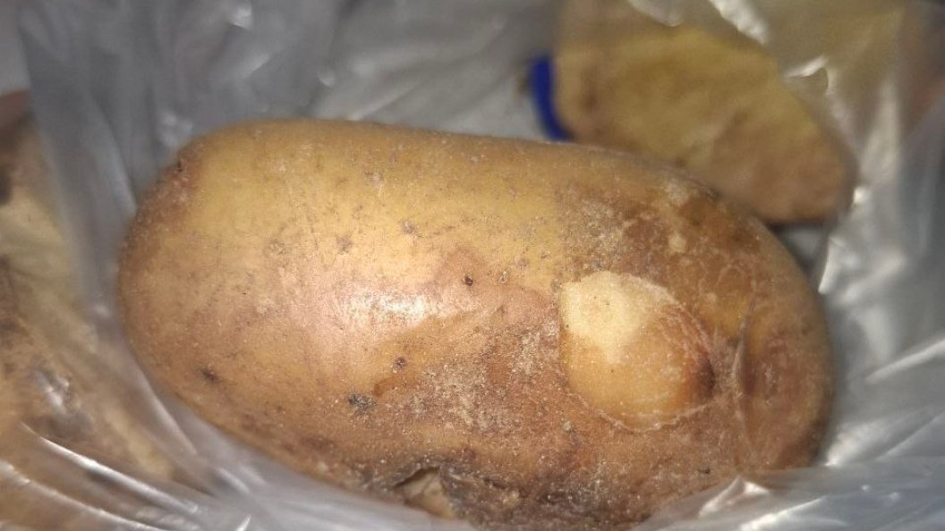    Россельхознадзор Забайкалья