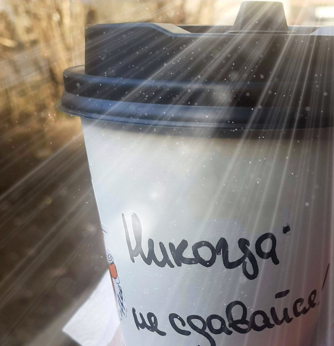 Фото автора