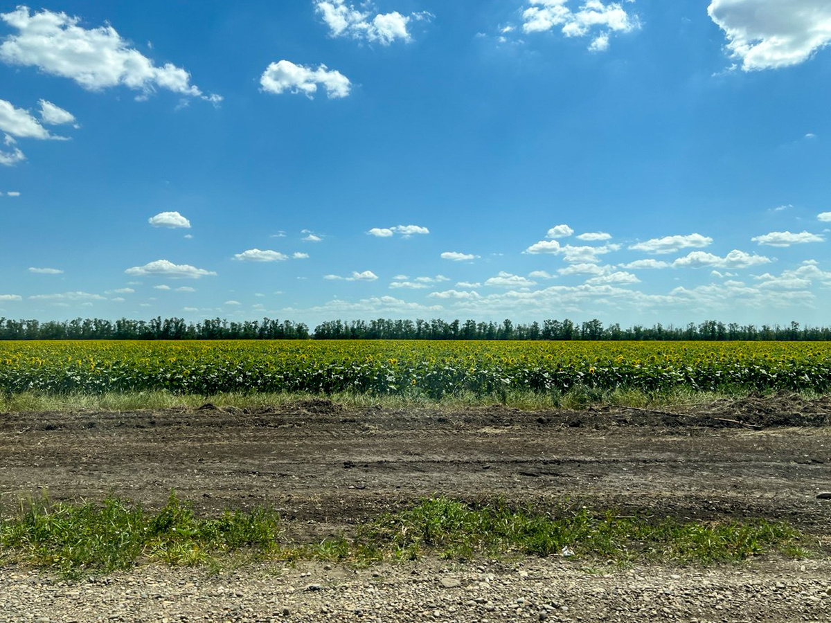 Темрюкский район Кубани теряет 25 гектар сельхозземель.  Фото: Фото: ФедералПресс / Евгений Поторочин