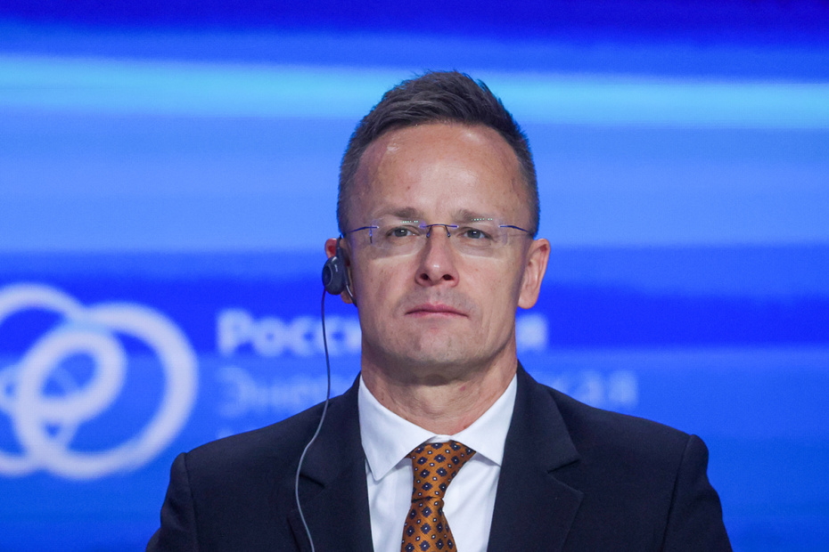    Наталья Шатохина/NEWS.ru