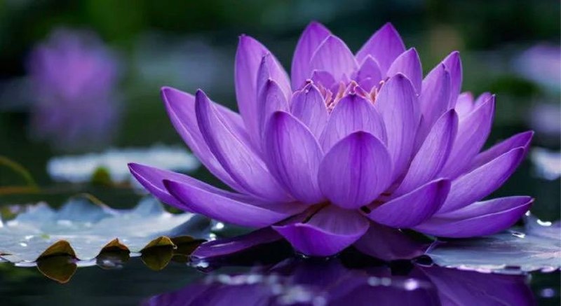 ✨ Ваше энергетическое поле — это не абстрактная аура