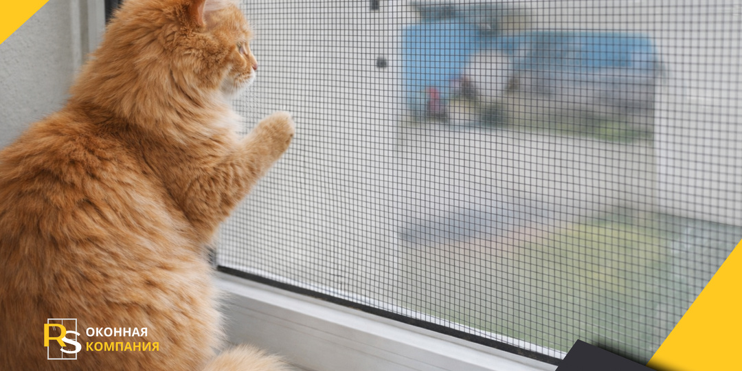 Москитные сетки "Антикошка": спасут ли они вашего питомца от падения?