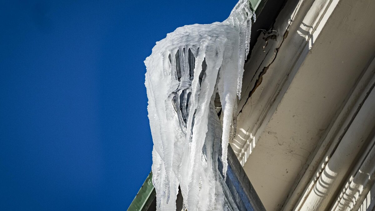    Фото: ИЗВЕСТИЯ/Константин Кокошкин