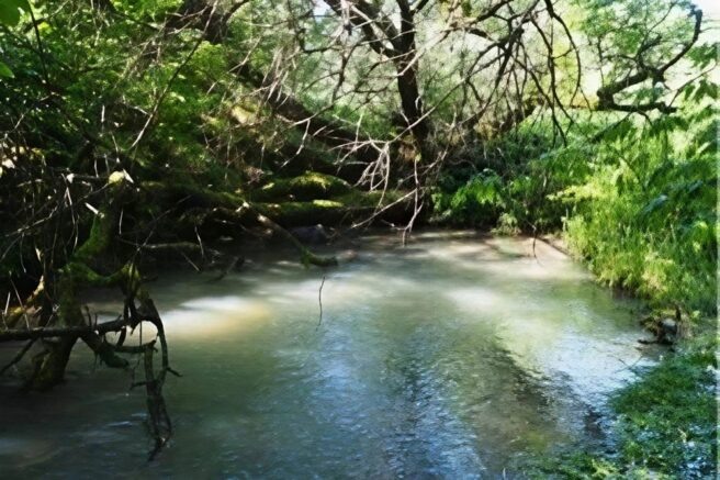    заказник "Лабинский" / admkrai.krasnodar.ru
