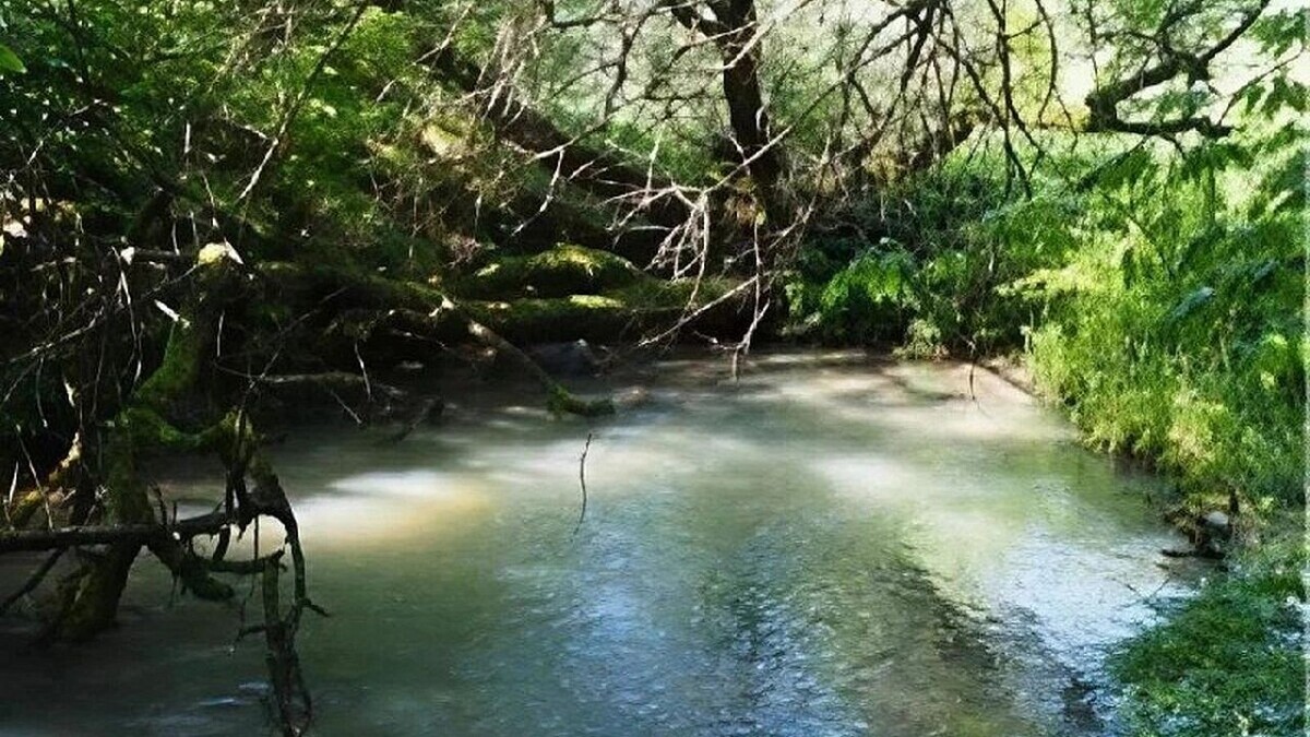    Фото пресс-службы администрации Краснодарского края