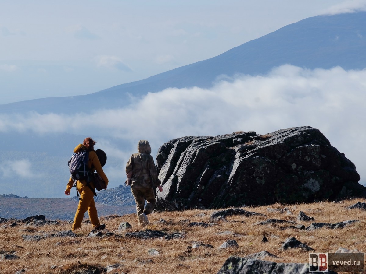     Фото: Вечерние ведомости