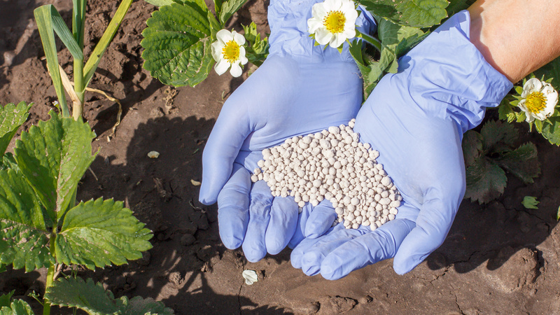 Мочевина работает только в теплой почве - при температуре ниже +10 градусов толку от нее ноль