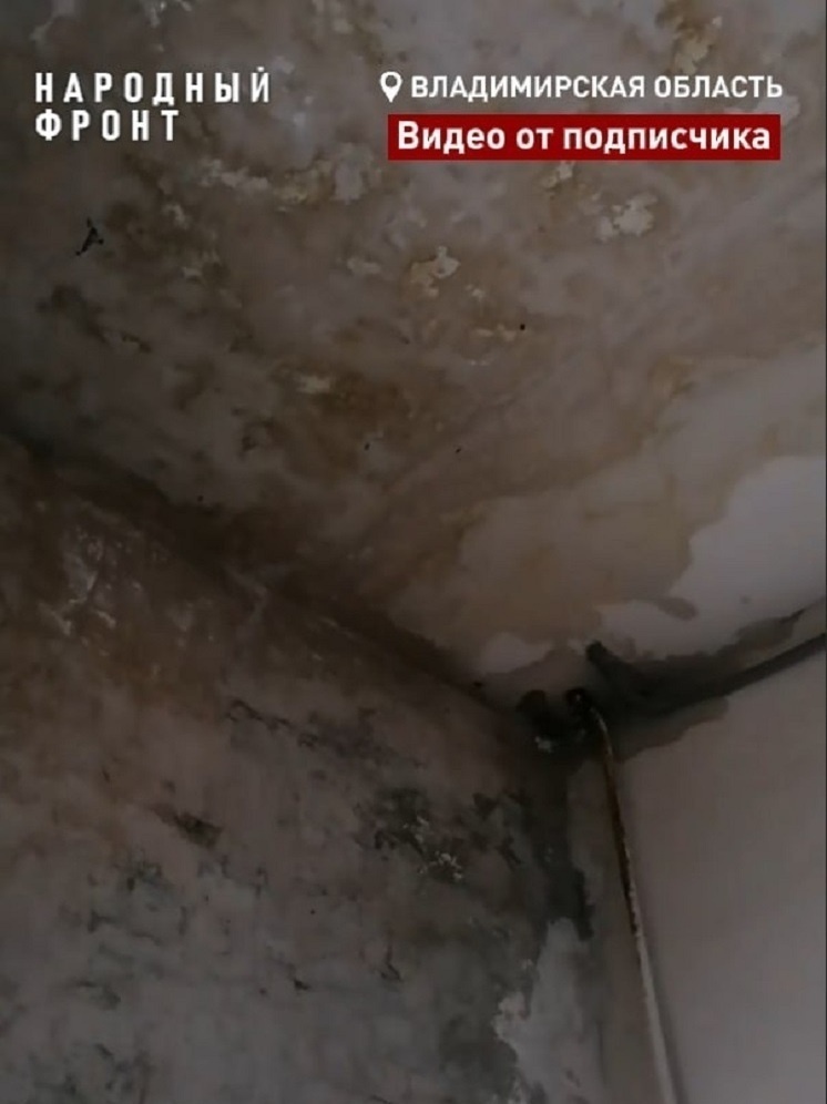     Фото "Народный фронт" во Владимире