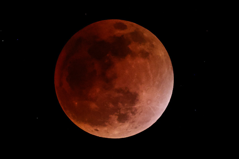     Фото: Daniel Irungu / EPA / TASS