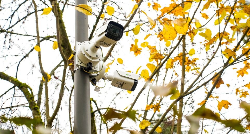    В Красноармейске после благоустройства открыт лесопарк "Банный лес" / Медиасток.рф