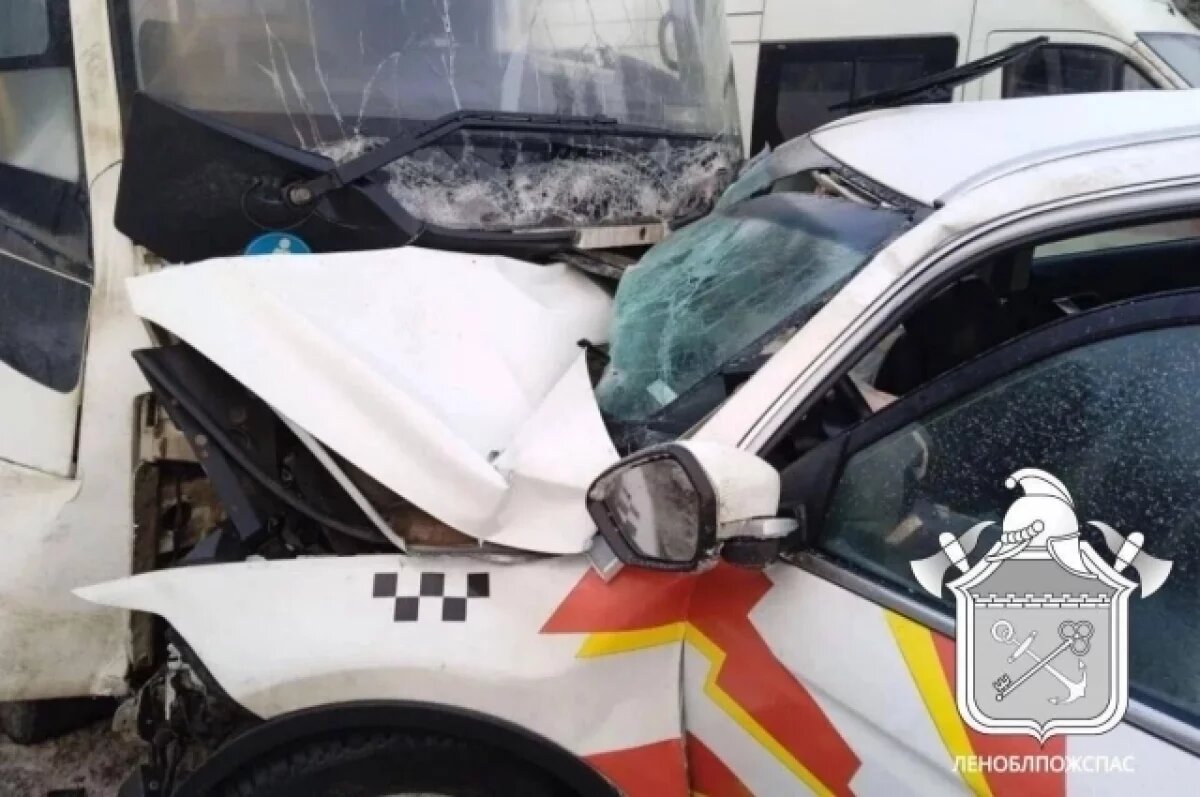    12 человек пострадали при лобовом ДТП в Ленобласти