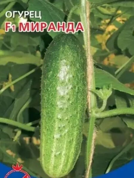   📷
