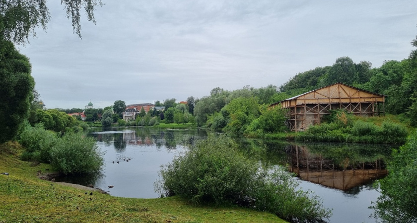    Фото Анастасии Дмитриевой