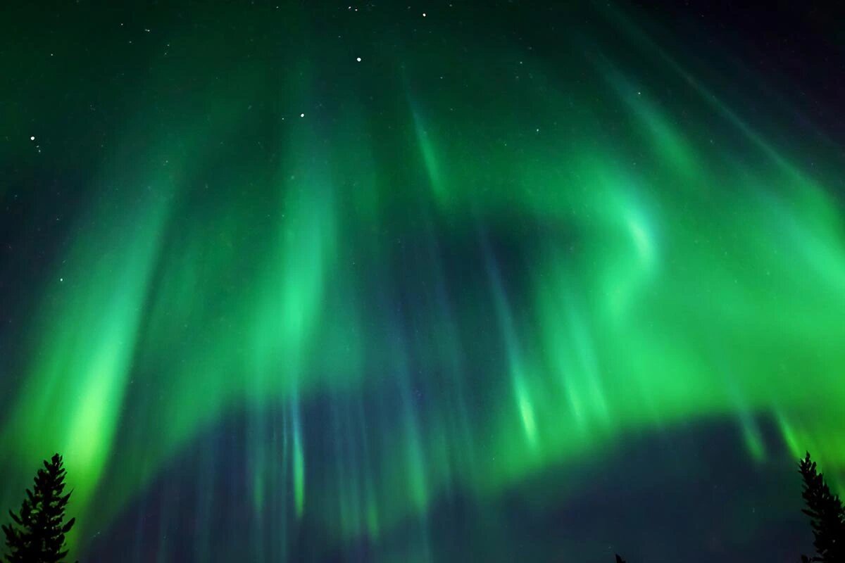    Фото vecteezy.com