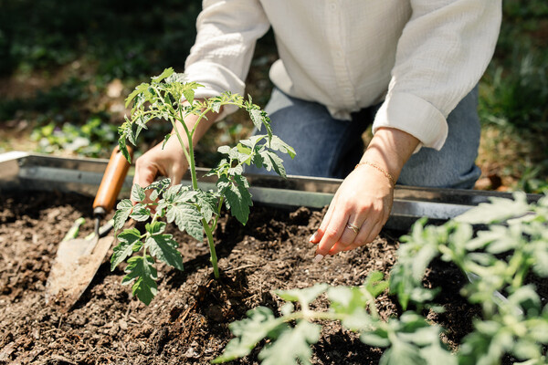 Cavan-Images/Shutterstock/FOTODOM   📷
