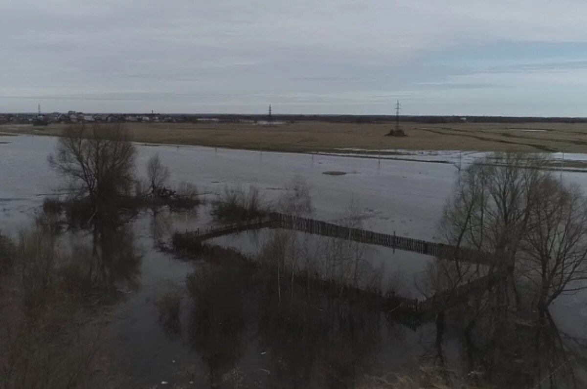    Рязанские ученые предсказывают бурный весенний паводок в апреле