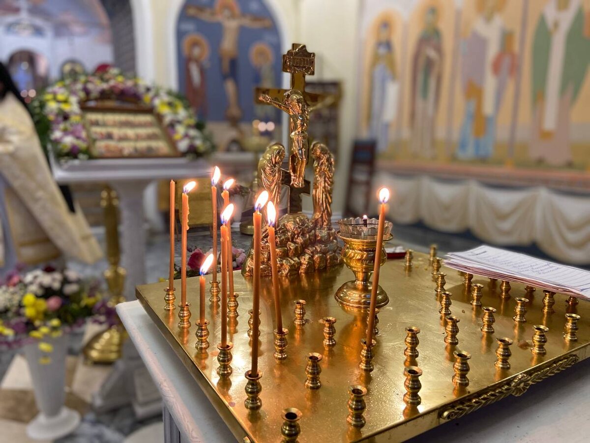    Фото: t.me/luka_pronsk