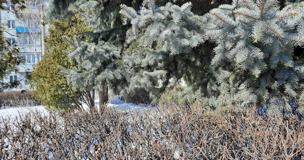 Народные приметы на 4 марта: какими разговорами легко сломать себе жизнь и что бросить через левое плечо, чтобы деньги водились