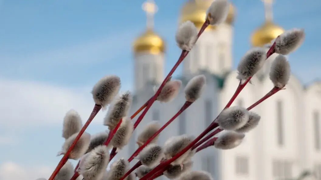    Фото: shutterstock