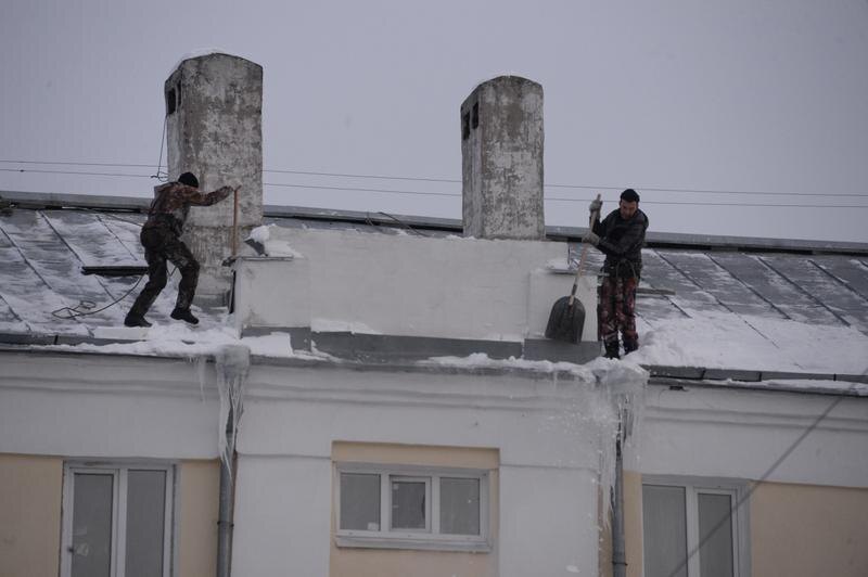 Фото: Павел Ворожцов, «Областная газета»