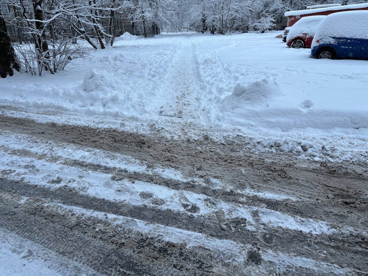 Фото: Neva.Today