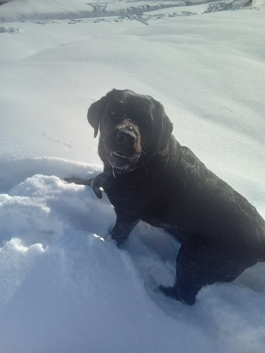 Фото автора. 