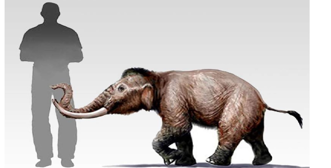 Из открытых источников