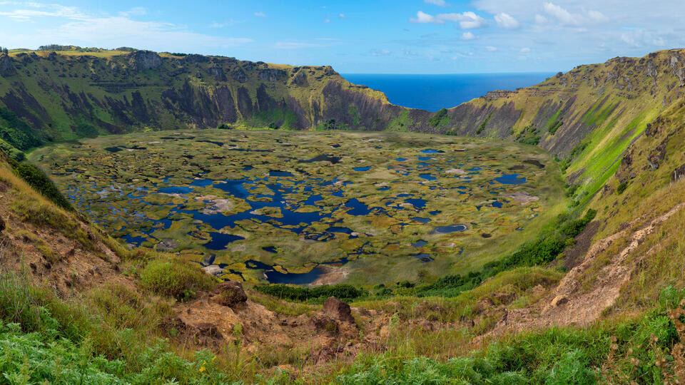 Фото: © www.globallookpress.com/imageBROKER.com