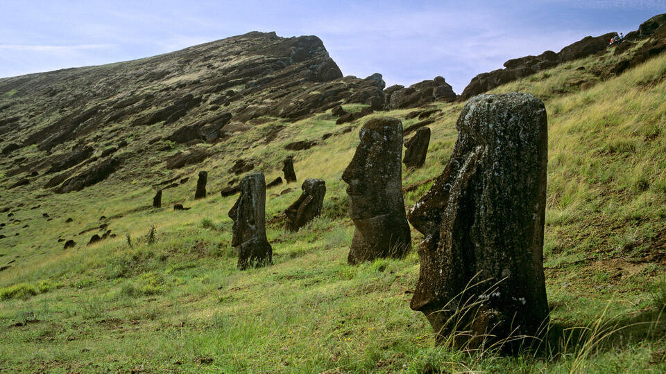 ФОТО: www.globallookpress.com/FB-Fische